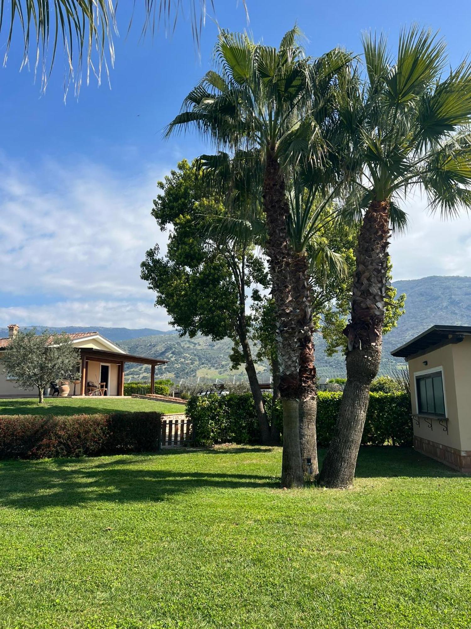 Villa Arianna Cori Εξωτερικό φωτογραφία